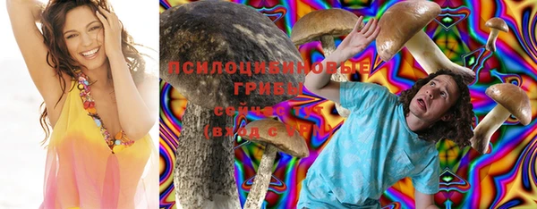 бошки Кукмор