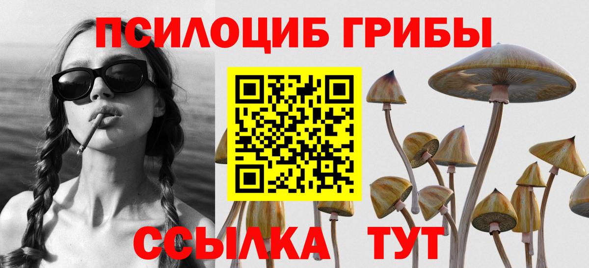 Якутск  где найти   Вход с VPN  Галлюциногенные грибы GOLDEN TEACHER 